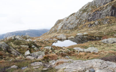 Naturens barske landskab